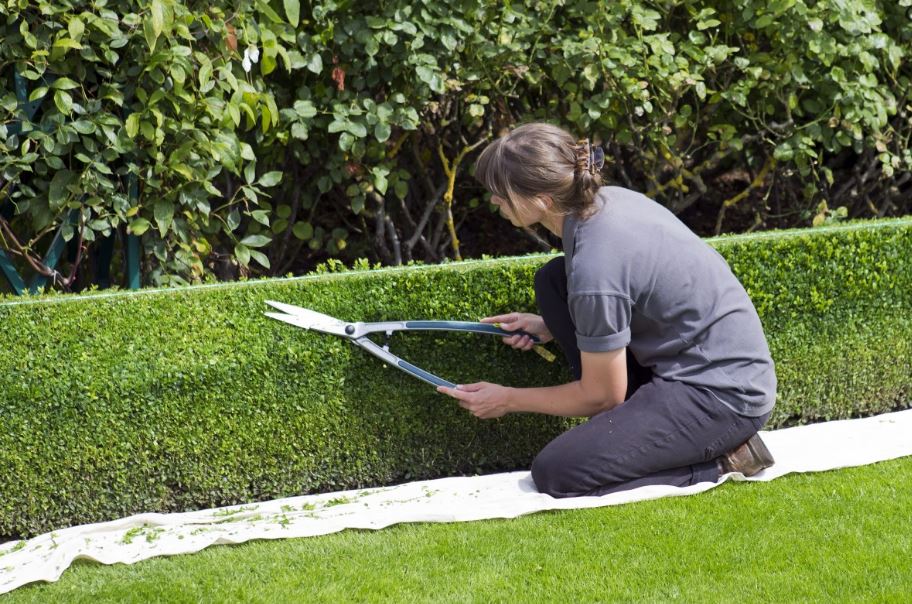 DIY Hedging Means Having The Right Tools