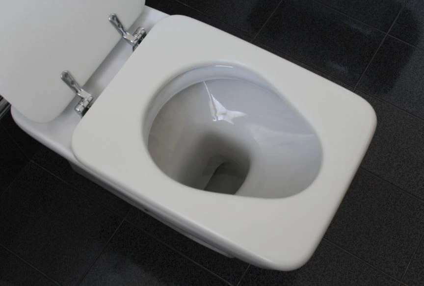How To Replace the Seal of Your Toilet