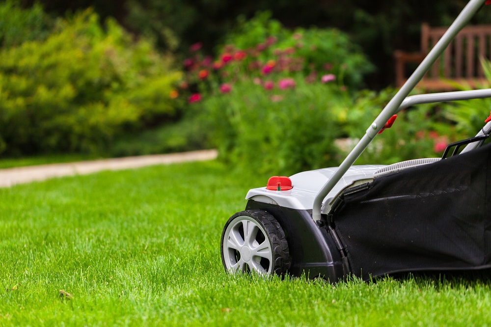 Summer Lawn Care Tips to Keep Your Yard Looking Its Best