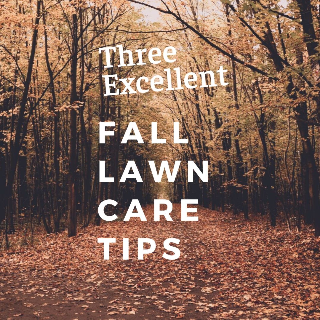 Three Excellent Fall Lawn Care Tips