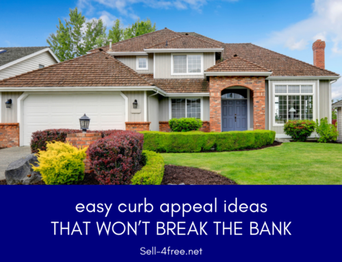 Easy Curb Appeal Ideas That Won’t Break the Bank