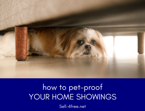 Home Seller’s Guide to Pet-Proofing for Showings