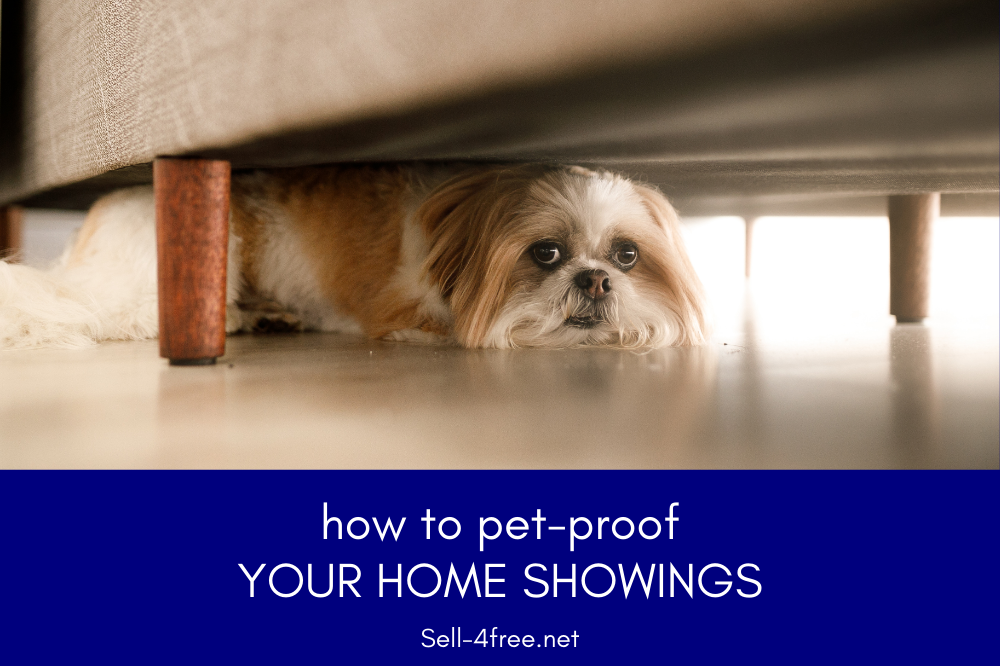 Home Seller’s Guide to Pet-Proofing for Showings