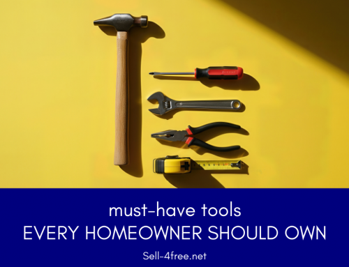 Must-Have Tools Every Homeowner Should Own